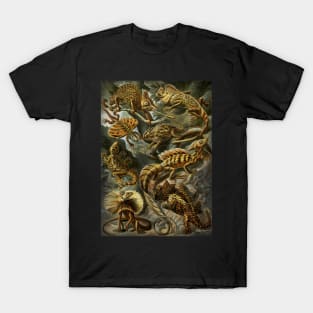 Ernst Haeckel Lacertilia Lizards T-Shirt